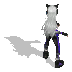  ／ 強化前 ／ 色２ (裏面)